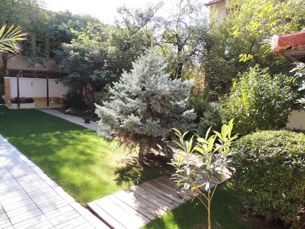 Fantasy Apartaments And Studios Avenue Комплекс Фантазия Хисаря Exterior photo